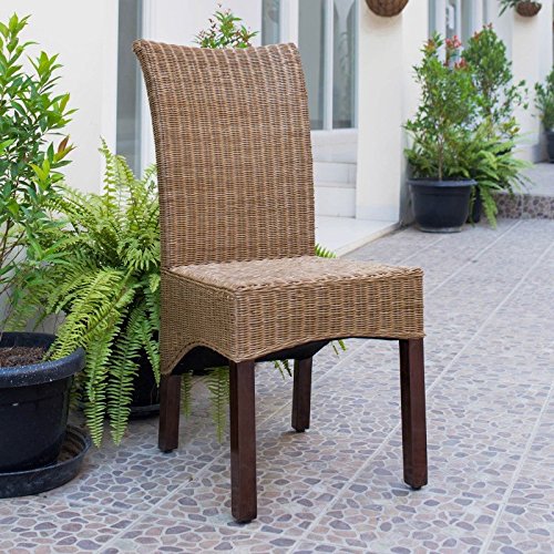 Campbell Salak Brown Rattan Wicker Stained Finish Dining Chairs with Mahogany Hardwood Frame (Set of 2)