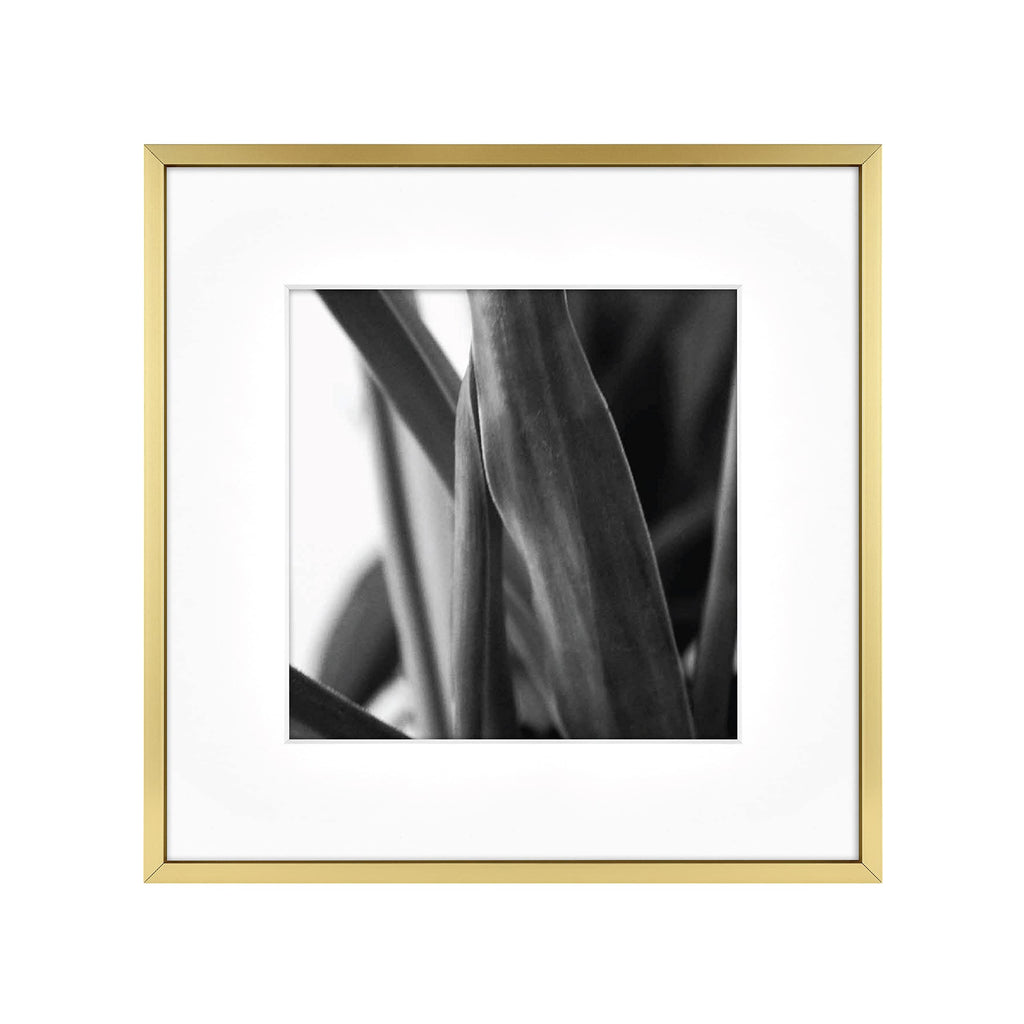 MCS Master & Co. Foundry Metal Gallery Wall Frame, Brass, 12 x 12 in matted to 8 x 8 in