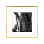 MCS Master & Co. Foundry Metal Gallery Wall Frame, Brass, 12 x 12 in matted to 8 x 8 in