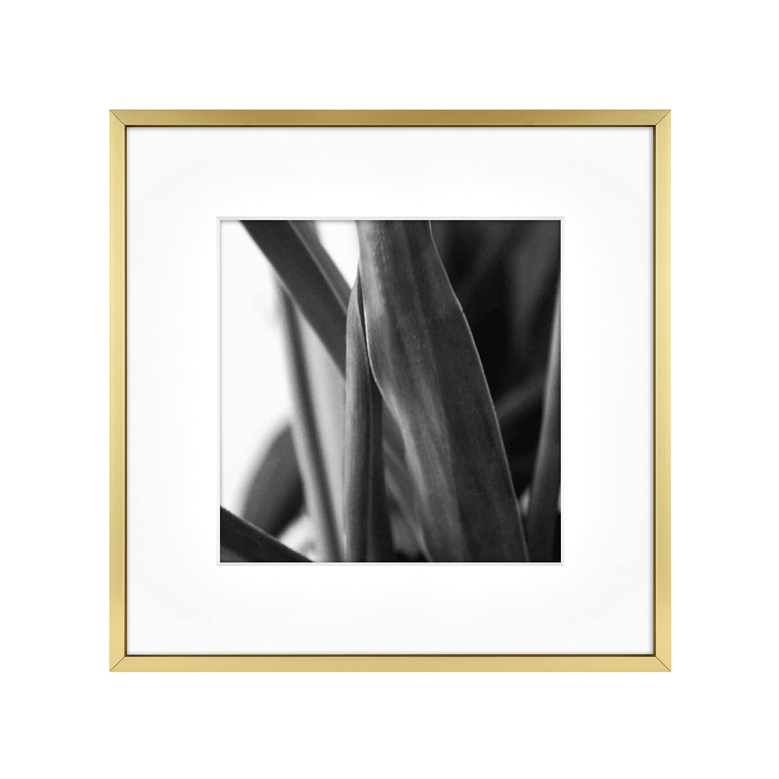 MCS Master & Co. Foundry Metal Gallery Wall Frame, Brass, 12 x 12 in matted to 8 x 8 in
