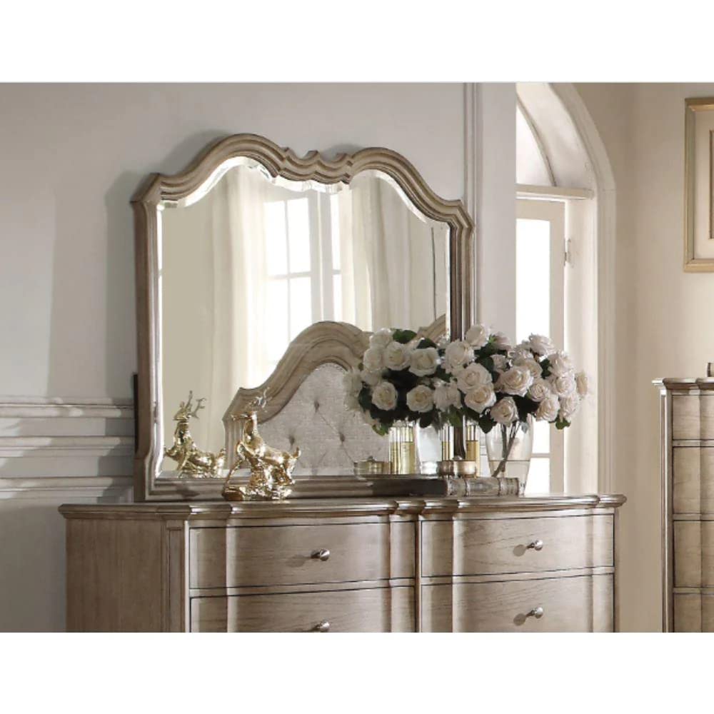 Acme Chelmsford Mirror - 26054 - Antique Taupe