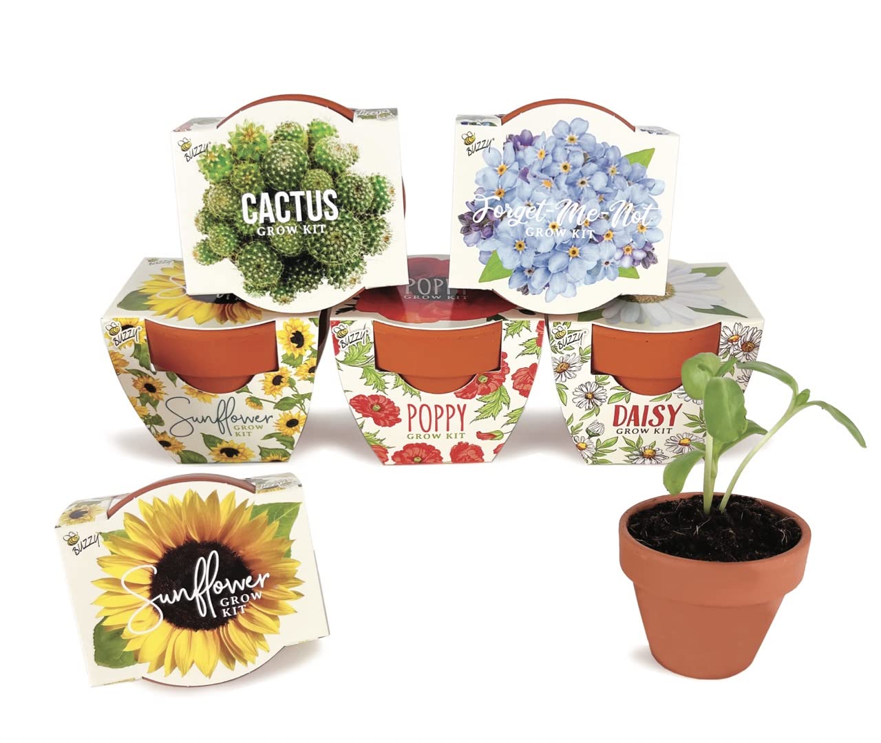 Buzzy Terracotta Mini Grow Pots  Assorted 6-Pack  Daydream Collection  Sunflower, Daisy, Poppy, Cactus, Forget-Me-Not  Best Gard
