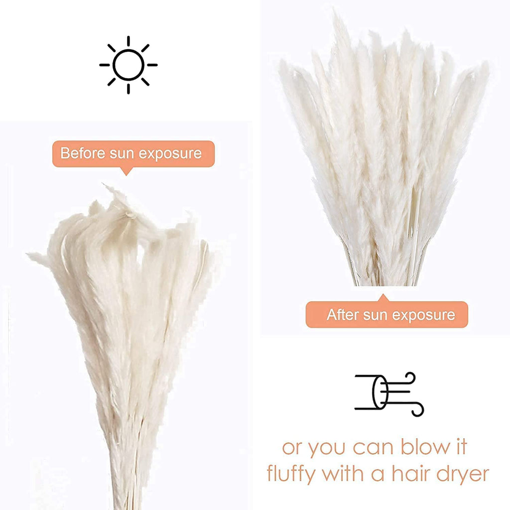 60 Pcs White Pampas Grass ,17 Inch/45 Cm Natural Dried Pampas Grass Branches Decor For Home Kitchen Garden Party Photographing F