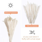 60 Pcs White Pampas Grass ,17 Inch/45 Cm Natural Dried Pampas Grass Branches Decor For Home Kitchen Garden Party Photographing F