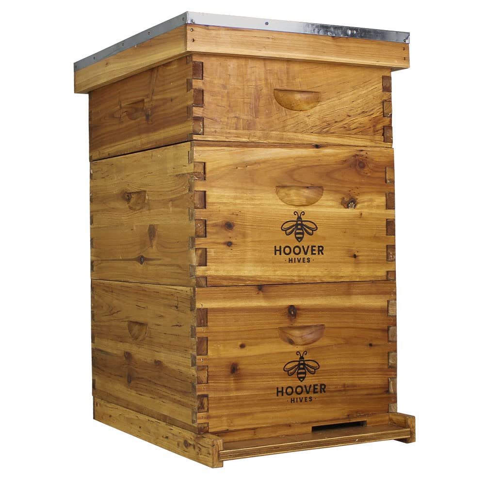 Hoover Hives 10 Frame Langstroth Beehive Dipped In 100% Beeswax Includes Wooden Frames & Waxed Foundations (2 Deep Boxes, 1 Medi