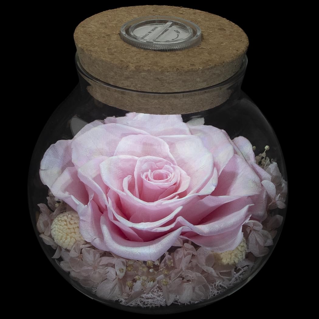 roliys Preserved Real Roses with Colorful Mood Light Wishing Bottle, Eternal Rose,Never Withered Flowers, for Bedroom Party Tabl