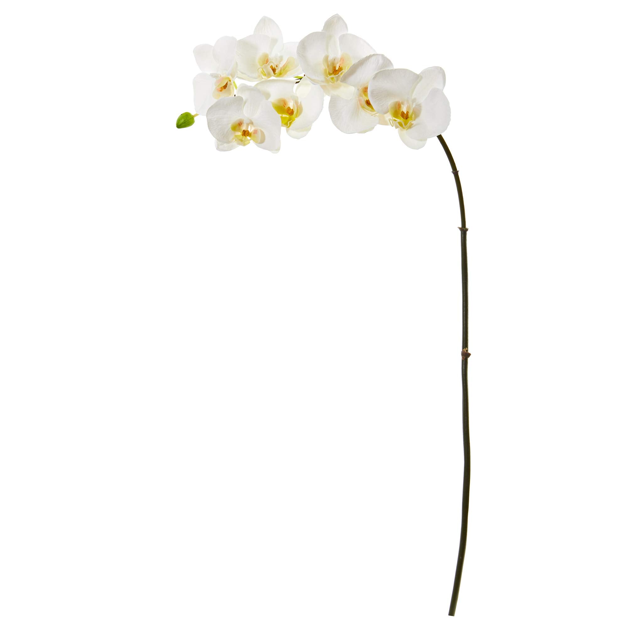 32 Phalaenopsis Orchid Artificial Flower (Set Of 6)