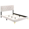 Coaster Home Furnishings Kendall 49-Inch Upholstered Bed Eastern King Size Modern Panel Bed Frame Velvet Upholstery Button Tufted with Gold Accents White 224401KE