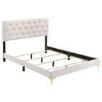 Coaster Home Furnishings Kendall 49-Inch Upholstered Bed California King Size Modern Panel Bed Frame Velvet Upholstery Button Tufted with Gold Accents White 224401KW