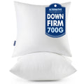 MIULEE Throw Pillows Inserts, Pack of 2 22x22 Inch 100% Virgin Fiber Filling Bed Couch Pillows