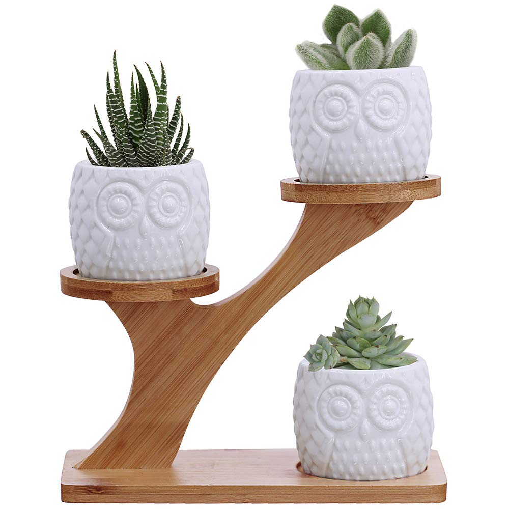 3Pcs Owl Succulent Pots With 3 Tier Bamboo Saucers Stand Holder - White Modern Decorative Ceramic Flower Planter With Drainage -
