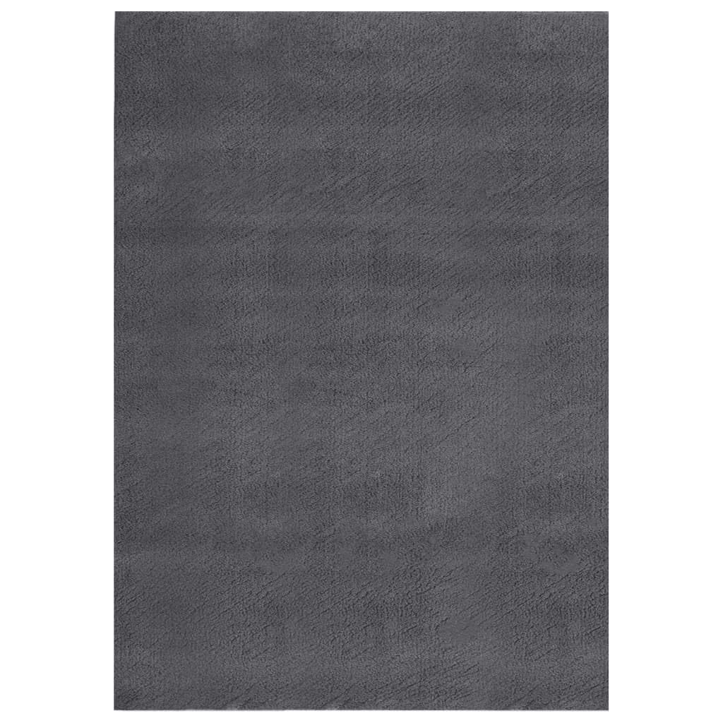 vidaXL 6.6x9 Ft Rectangular Shaggy Rugs, Fluffy Carpets with Anti-Slip Backing, Indoor Modern Plush Area Rugs for Living Room Bedroom Hallway, Easy-Maintenance Home Decor, Anthracite