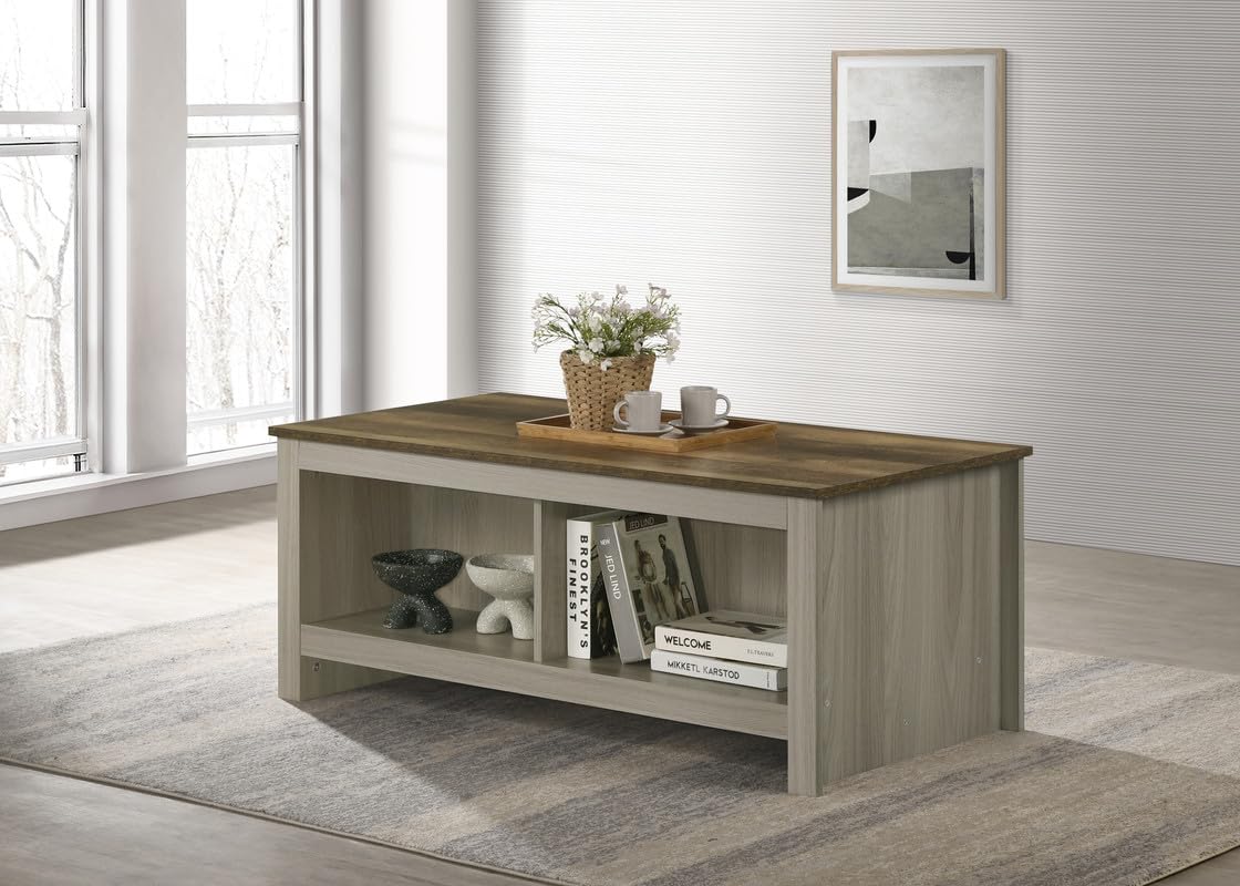 LILOLA LIVING Nyla 43&quot; W Gray Oak Coffee Table with Open Shelves Front and Back