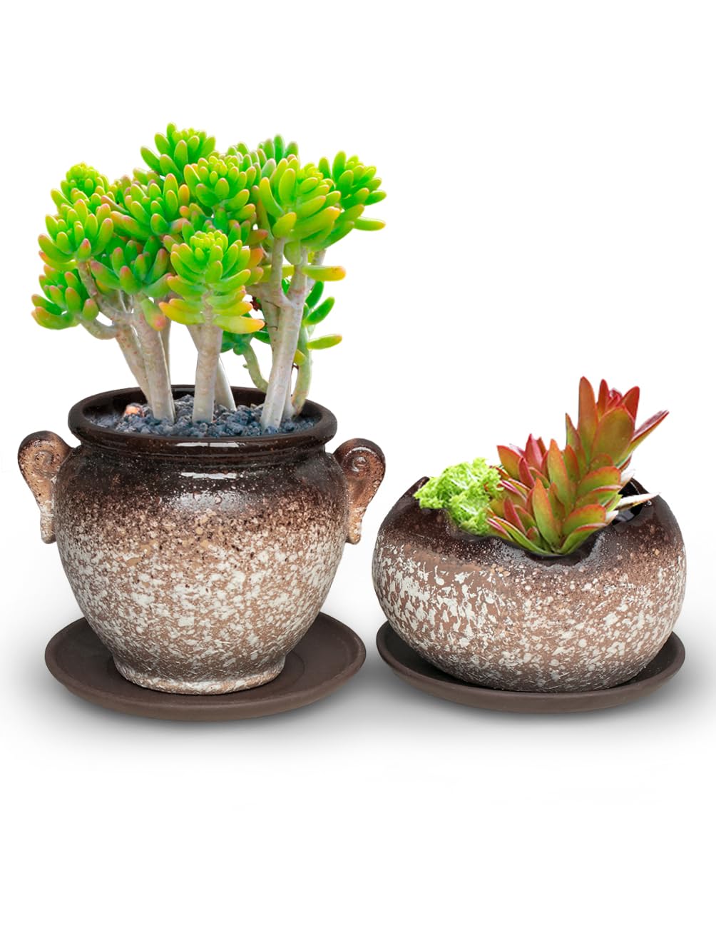 Dahlia Vintage Speckle Ceramic Succulent Planter/Plant Pot/Flower Pot/Bonsai Pot, Set Of 2