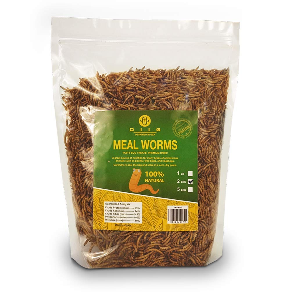 Diig Non-Gmo Dried Mealworms - Treats For Birds Chickens Hedgehog Hamster Fish Reptile Turtles, 2 Lb