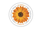 USPS 2022 Global Forever International Mail African Daisy Postage Stamps 1 Sheet 10 Stamps