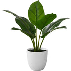 Monarch Specialties I 9502 Artificial Plant, 17' Tall, Aureum, Indoor, Faux, Fake, Table, Greenery, Potted, Real Touch, Decorative, Green Leaves, White Pot