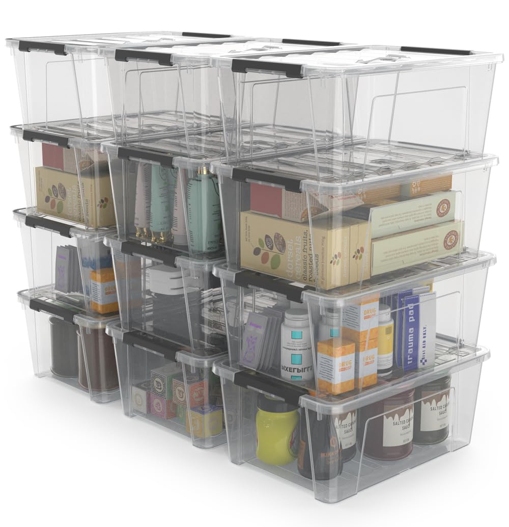 WYT 12 Pack Small 5Quart Clear Plastic Storage Bins with Lids and Latch Buckles, Storage Organizer Container with Handle