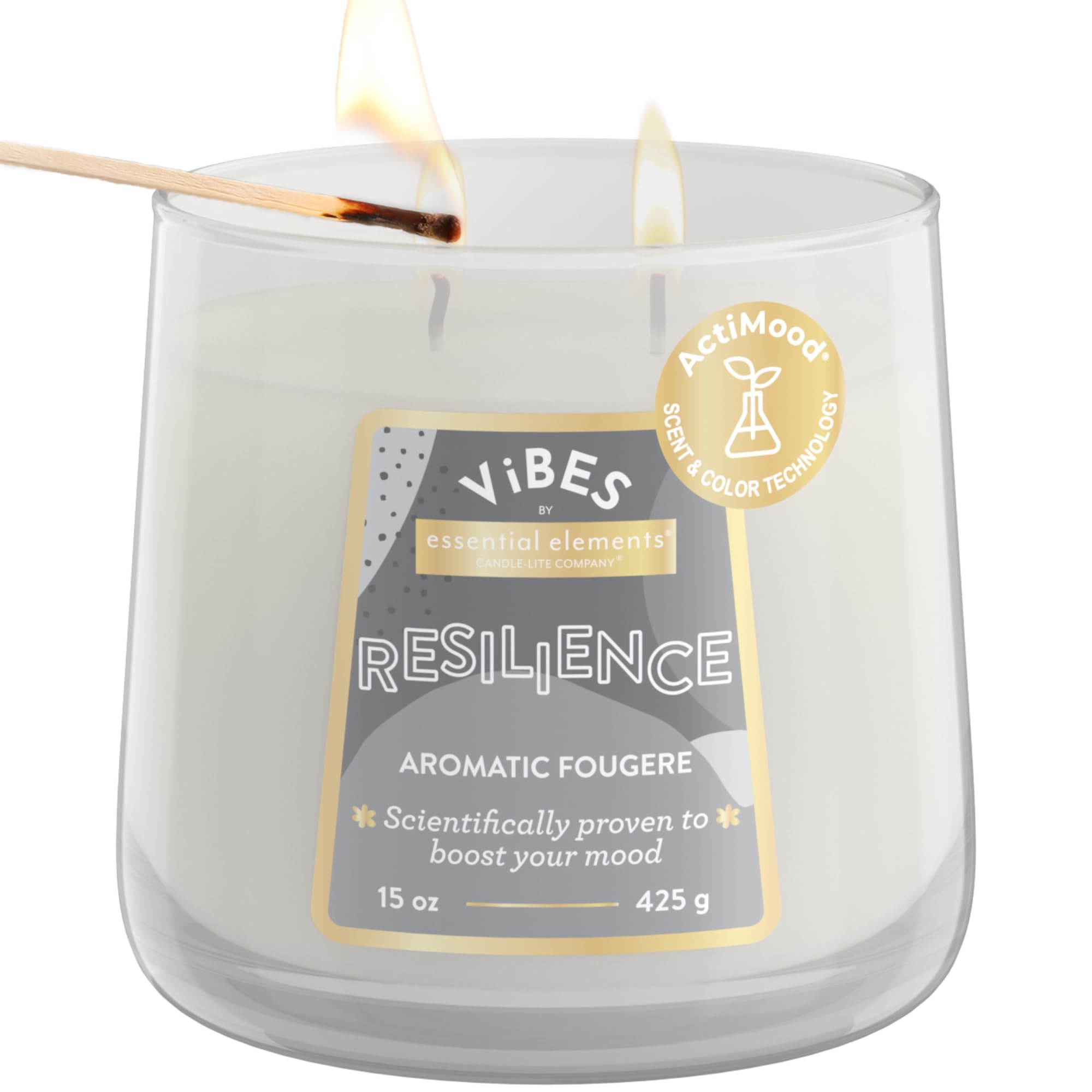 Candle-Lite Vibes Aromatic Fougere Scented Candles, Perfect Relaxation Mothers Day Gifts for Mom, Aromatherapy Mood-Enhancing, 1