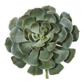 13 Giant Echeveria Succulent Pick Artificial Plant (Set Of 2)