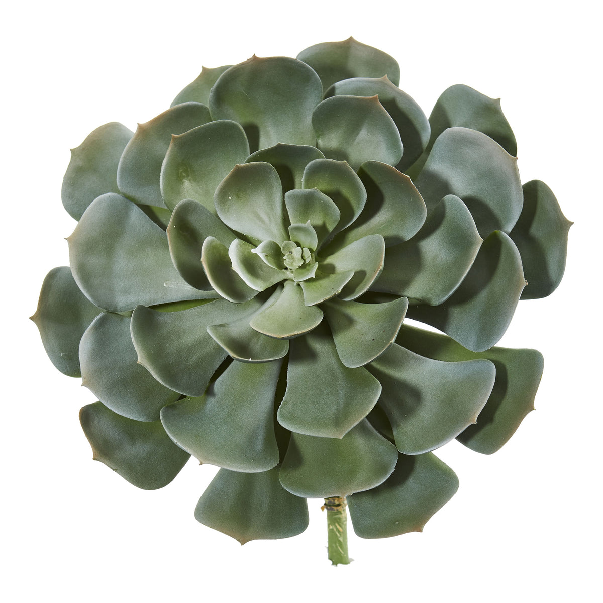 13 Giant Echeveria Succulent Pick Artificial Plant (Set Of 2)