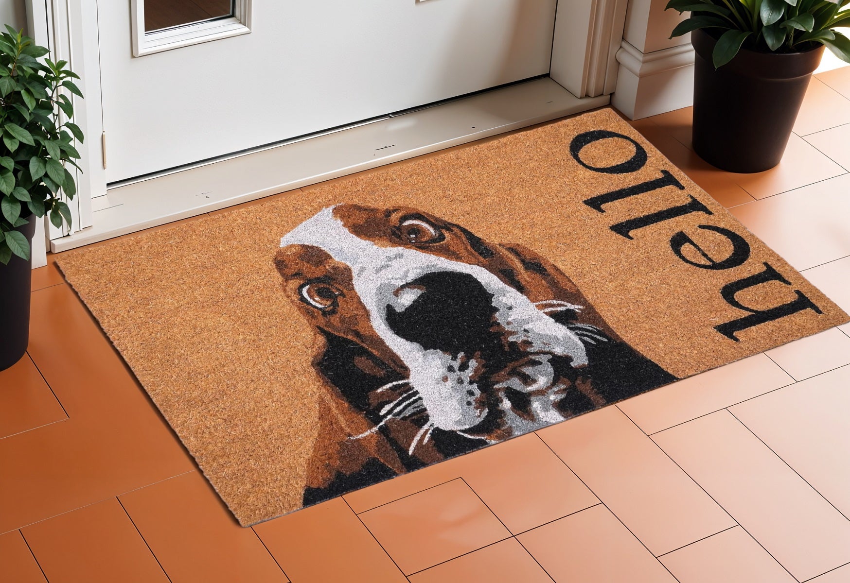17 X 29 Natural And Red Coir Dog Outdoor Door Mat