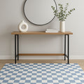 4 X 6 Blue And Off White Checkered Area Rug