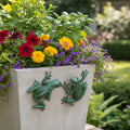 Set of Two Stone Garden Green Frog Resin Hanging Dimensional Sculptures