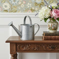 7 Gray Galvanized Metal Decorative Watering Can