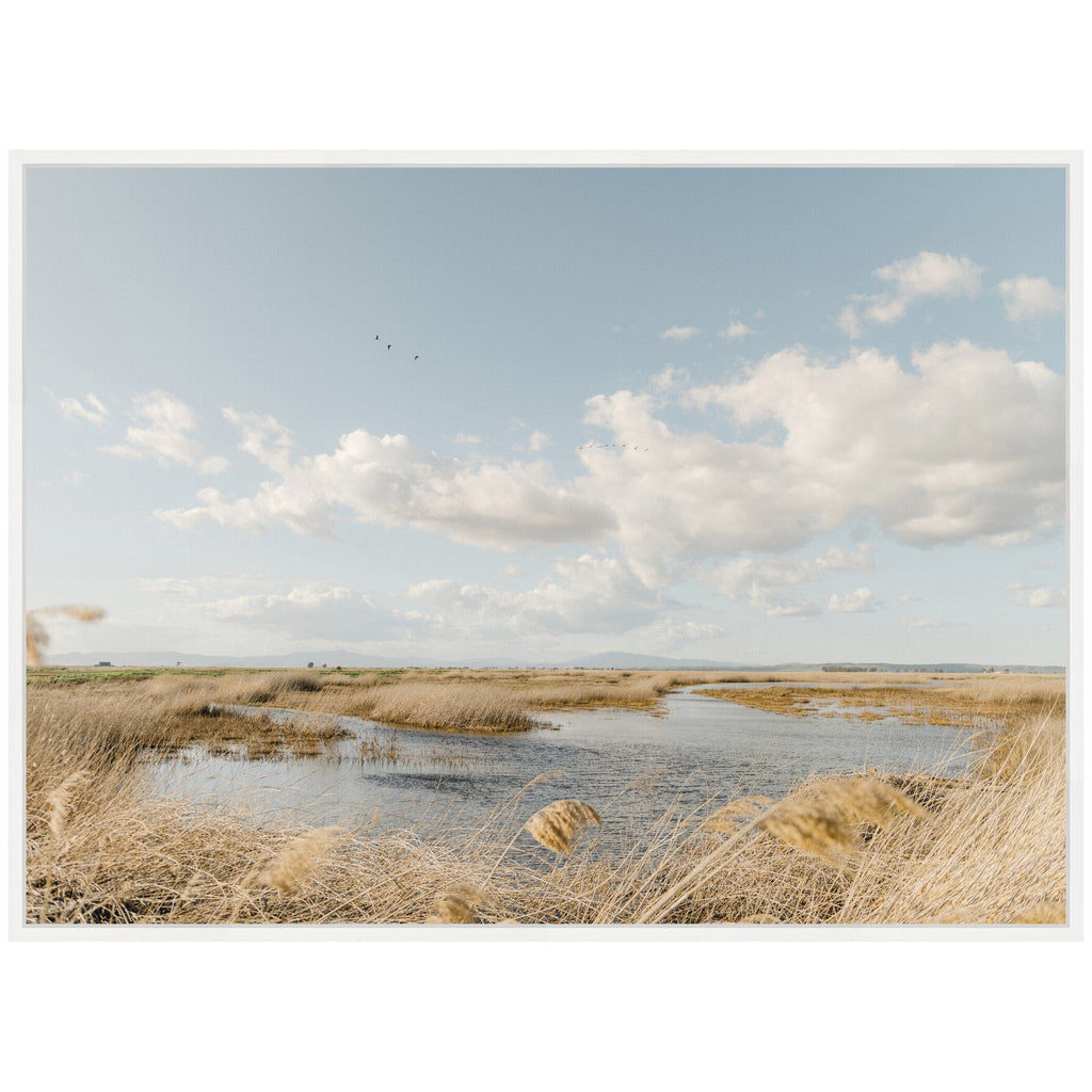 Sylvie Marshland Framed Canvas by Crystal Lynn Collins
