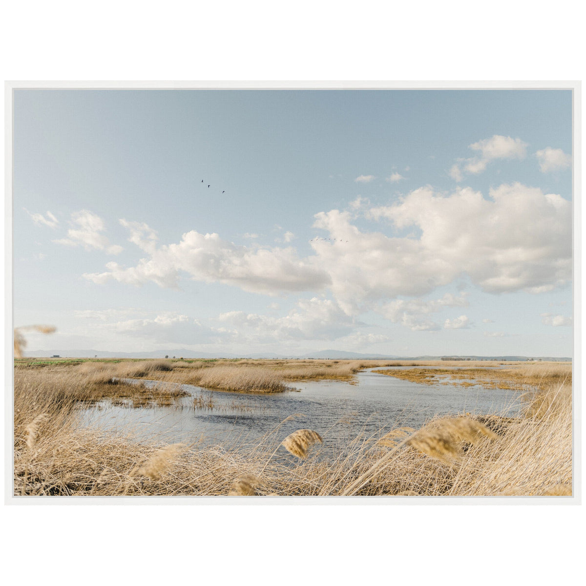 Sylvie Marshland Framed Canvas by Crystal Lynn Collins