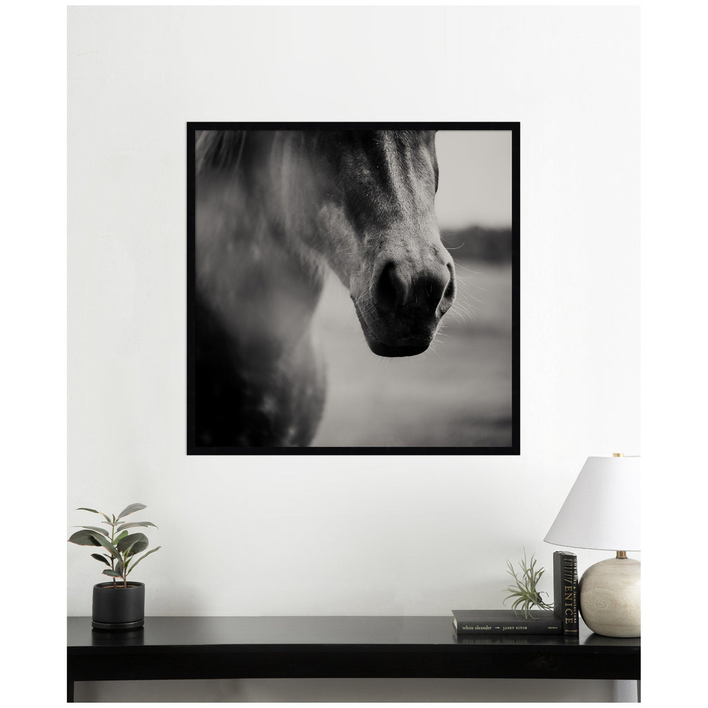 Horse Like Velvet by Laura Evans Framed Wall Art Print