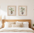 Set Of Two Fiddle Fig Tree Brown Framed Wall Art