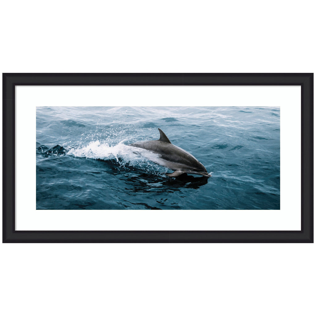 Framed Art Dolphin Skipping along in the Ocean Panel by Michael Schauer