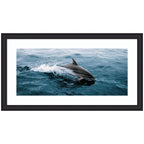Framed Art Dolphin Skipping along in the Ocean Panel by Michael Schauer