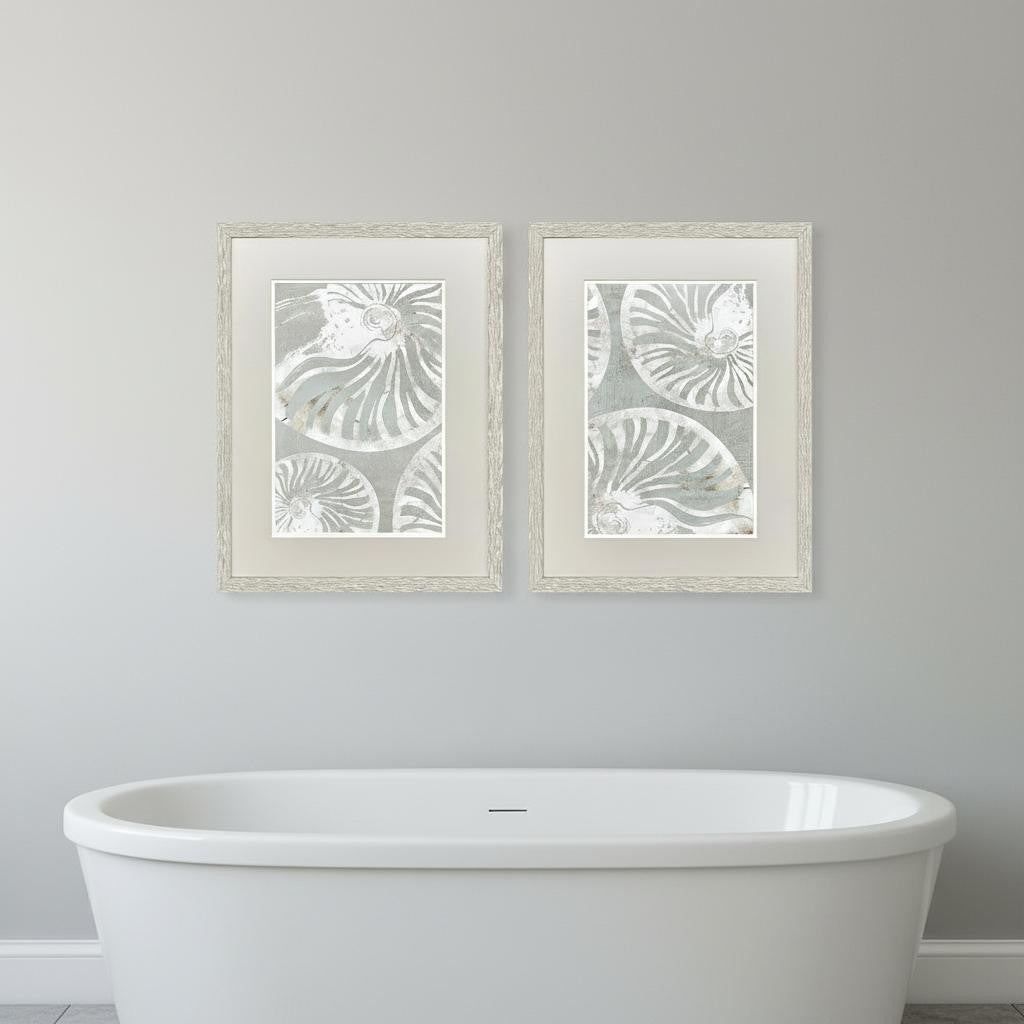 Set Of Two Nautilus Shell Distressed White Framed Wall Art
