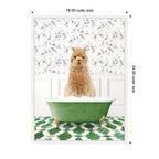 Sylvie Alpaca in Eclectic Green Bathtub Framed Canvas by Amy Peterson
