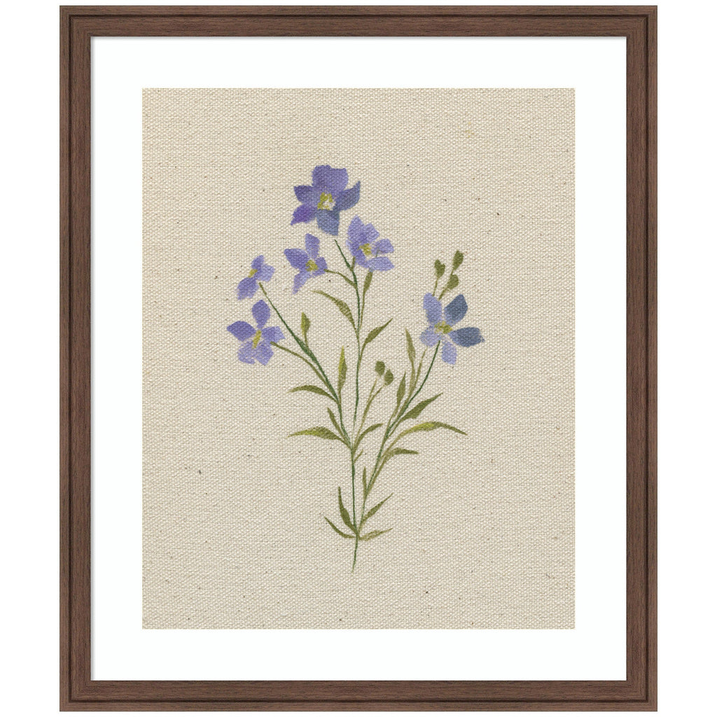 AQ Simple Bloom No 2 by Annie Quigley Framed Wall Art Print