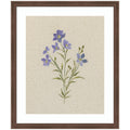 AQ Simple Bloom No 2 by Annie Quigley Framed Wall Art Print