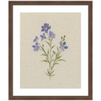 AQ Simple Bloom No 2 by Annie Quigley Framed Wall Art Print