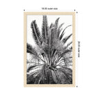 No 15 by Alicia Bock Framed Wall Art Print