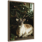 Sylvie Framed Canvas Reindeer Sitting Under a Christmas Tree by Michael Schauer