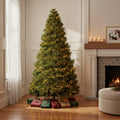 6 Full Spruce Christmas Tree