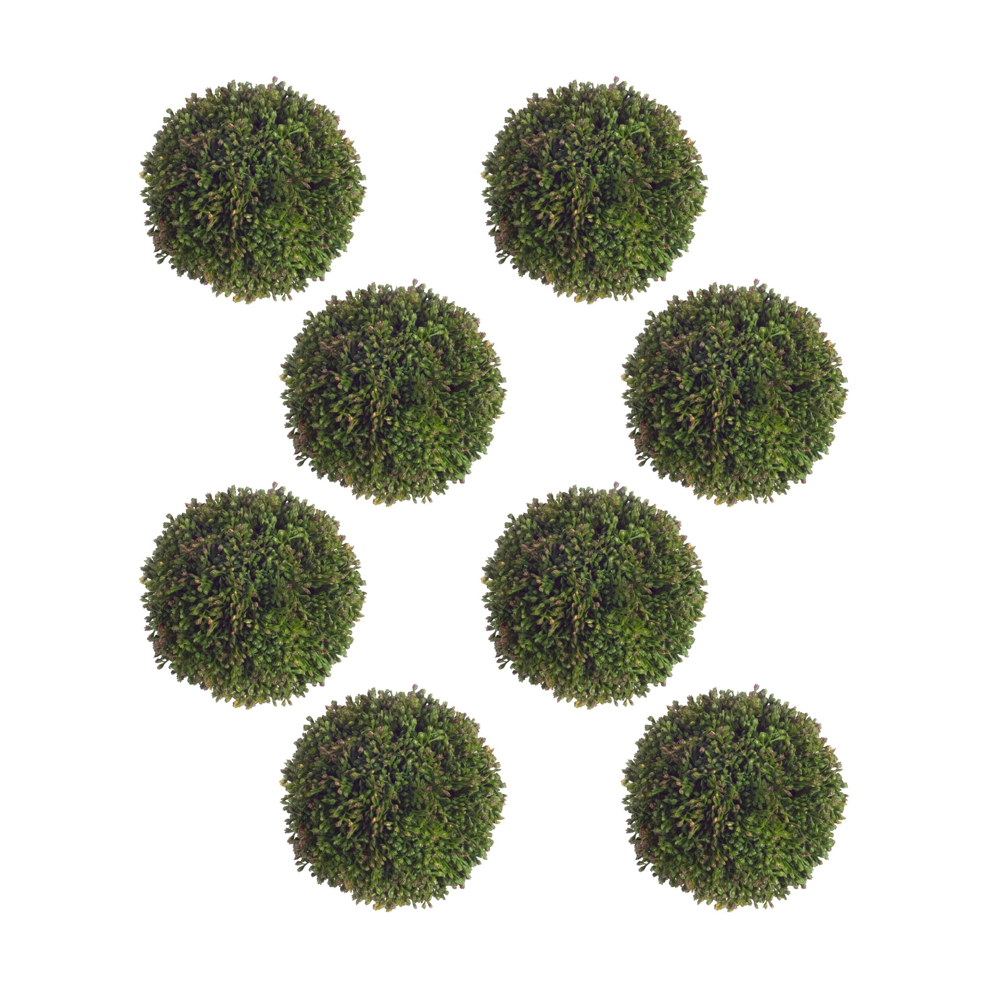 Seedum Orbs (Set of 8)