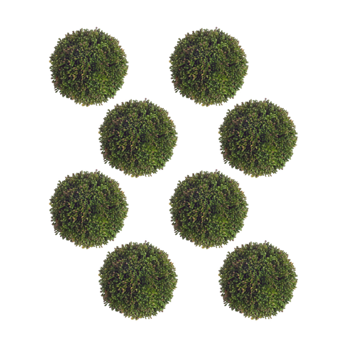 Seedum Orbs (Set of 8)