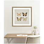 Framed Art Vintage Style Butterflies in Neutral Tones by The Creative Bunch Studio