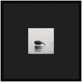 Humpback Whale No. 4 by Laura Evans Framed Wall Art Print Matted