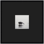 Humpback Whale No. 4 by Laura Evans Framed Wall Art Print Matted
