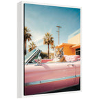 Cool Tiger Sitting in a Pink Classic Car by Michael Schauer Framed Canvas Wall Art Print
