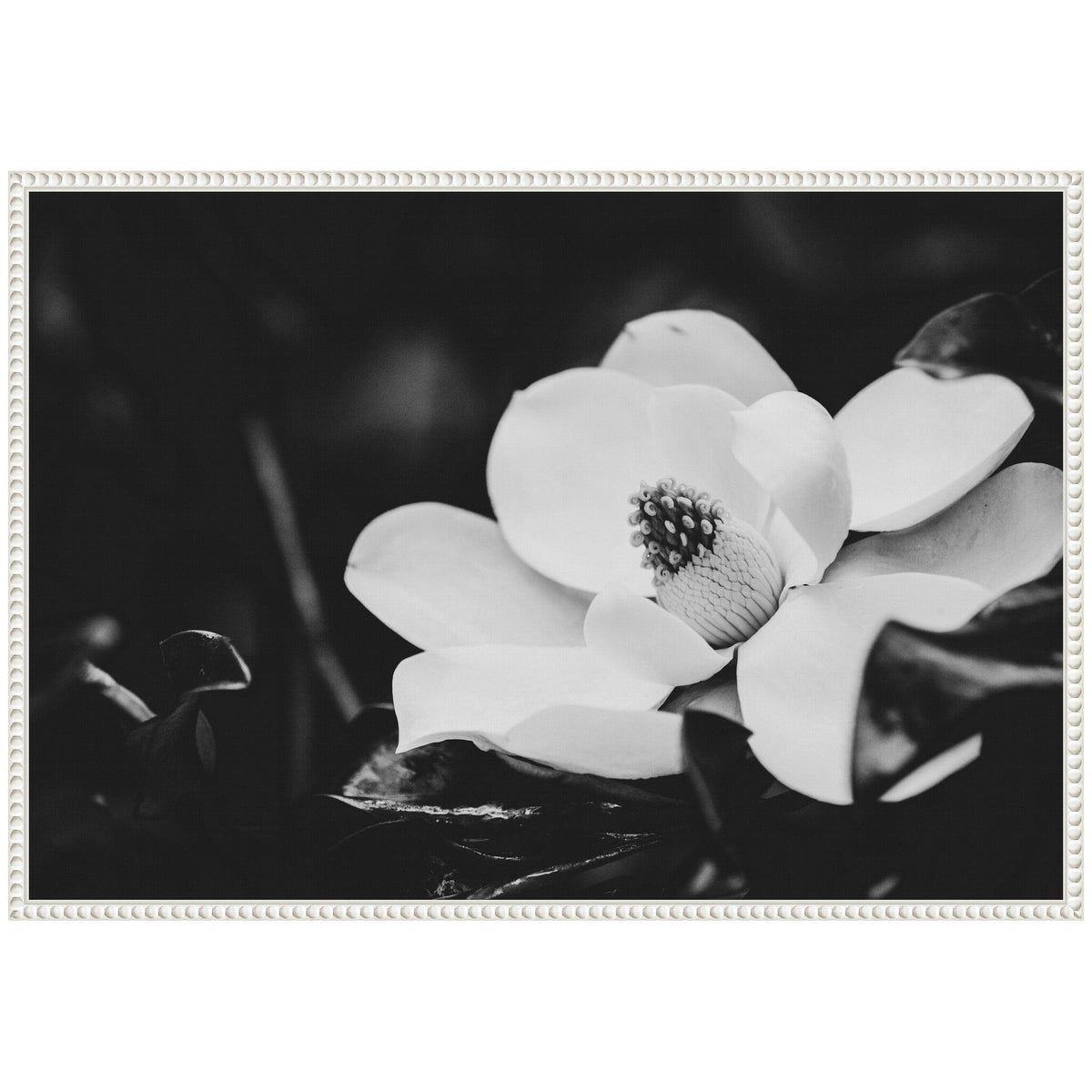 Sylvie Magnolias Framed Canvas by Alicia Abla